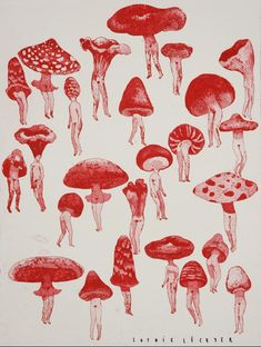 an image of red mushrooms on white paper with black ink in the middle and bottom