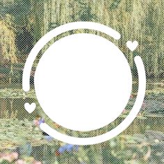 a white circle surrounded by water lilies in a pond with hearts on the side