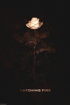 a white rose sitting on top of a black background with the words catching fire written below it