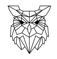 an owl's head is made out of geometric lines and shapes, including the eyes