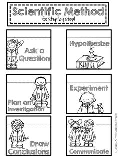 the scientific method worksheet for students