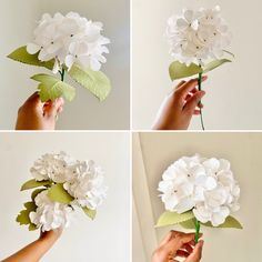 four different pictures of flowers being held up