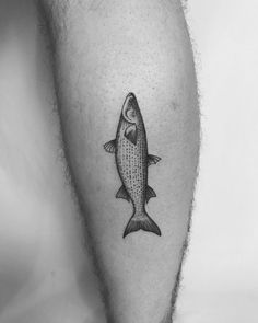 a black and white photo of a fish on the leg