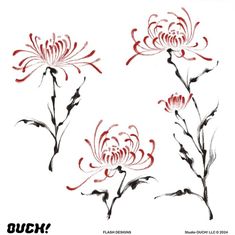 three red flowers with black stems on a white background