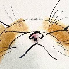 a drawing of a cat's face with its eyes closed