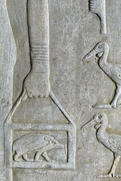 two birds and a birdhouse are depicted on the side of a stone wall in egypt