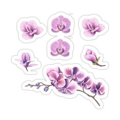 purple flowers stickers on a white background