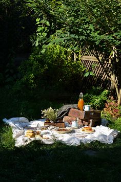 an outdoor picnic with food and drinks on a blanket in the grass next to trees