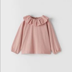 Nwt Zara Pink Top With Collar Size 12-18m Non Smoking Cat Friendly Home Pink Fall Playwear Top, Pink Tops For Playtime During Fall, Pink Tops For Playtime In Fall, Cute Long Sleeve Zara Blouse, Cute Zara Long Sleeve Blouse, Cute Winter Tops By Zara, Cute Zara Tops For Fall, Pink Ruffled Tops For Playtime, Pink Long Sleeve Tops For Playtime