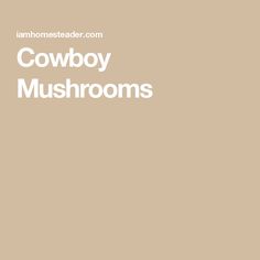 the words cowboy mushrooms are written in white on a beige background with a black and white photo