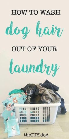 a laundry basket with clothes in it and the words how to wash dog hair out of your laundry