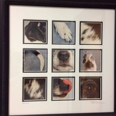 a black and white frame with nine different pictures of dogs on it's sides