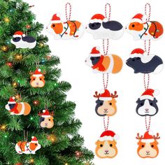 christmas ornaments are hanging from the tree in front of a white background with a red and black cat