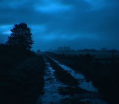 a wet road in the middle of a field with trees on both sides and dark clouds overhead