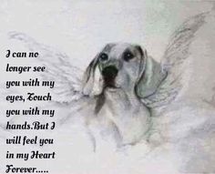 a drawing of a dog with angel wings on it's chest and the words, i can no longer see you with my eyes