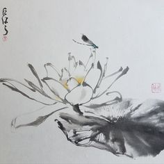 a painting of flowers and birds on a white background with chinese writing in the bottom right corner