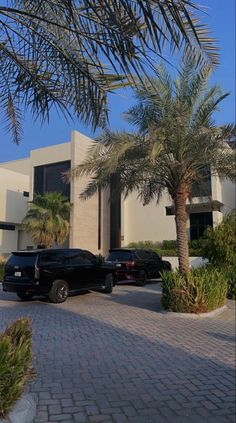 two black cars parked in front of a large white building with palm trees on the sidewalk