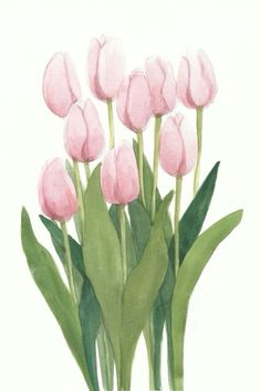 a painting of pink tulips with green leaves