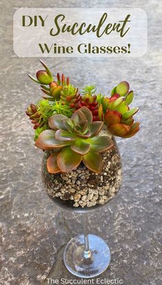 a wine glass filled with succulents and gravel