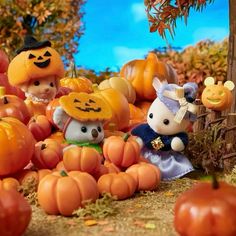 a group of small pumpkins sitting next to each other on top of a field