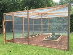 a small greenhouse with several plants in the ground and some grass on the ground next to it