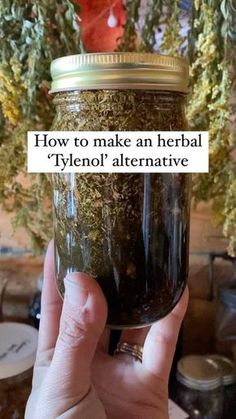 Medicinal Herbs Remedies, Herbal Medicine Recipes, Diy Herbal Remedies, Herbal Remedies Recipes, Medical Herbs, Sick Remedies, Fever Reducer, Herbal Tinctures, Herbal Recipes