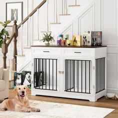 a dog laying on the floor in front of a stair case