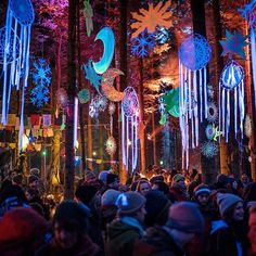 a crowd of people standing in front of trees covered in snowflakes and lights