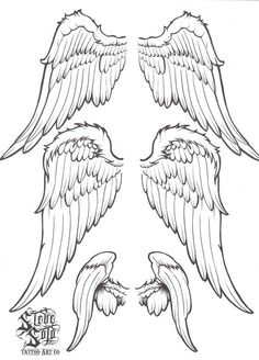 four angel wings with one wing extended and the other wing folded up to show it's spread