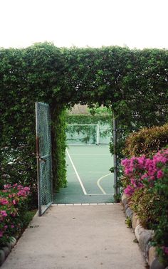 a tennis court surrounded by plants and flowers