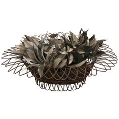 a basket filled with lots of plants on top of a white wall