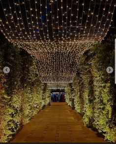 the walkway is lined with lights and trees