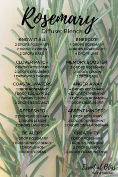 Essential Oils For Babies, Essential Oil Combinations, Magia Das Ervas, Essential Oil Remedy, Essential Oils Herbs, Oil Diffuser Recipes, Essential Oil Diffuser Recipes