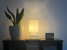 a table lamp sitting on top of a book shelf next to a potted plant