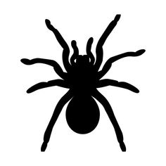 a black spider silhouette on a white background