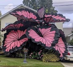 a large pink and black flower sculpture in front of a house with cars parked on the street