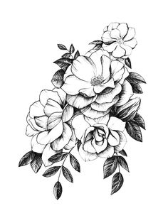 a black and white drawing of flowers with leaves on the bottom half of each flower