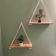 two wooden shelves with plants and potted plant on them against a green painted wall