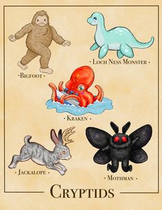 an image of different types of animals