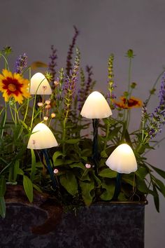 a group of white lights sitting on top of a planter filled with flowers and plants