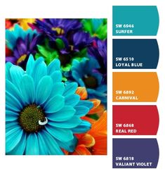 the color scheme is blue, orange, and green with an image of a flower