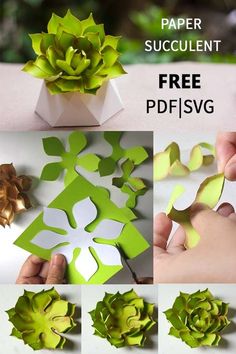 how to make paper succulents with pictures and instructions