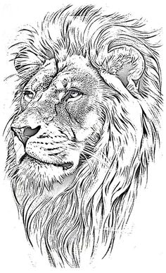 a black and white drawing of a lion's head with long manes, eyes closed