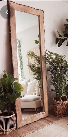 a mirror sitting on top of a wooden shelf next to a potted plant in front of it