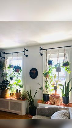 a living room filled with potted plants and hanging plant hooks on the wall next to two windows