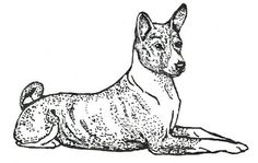 a drawing of a dog laying down on the ground with his head turned to the side