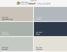 several shades of gray and white with the words colorsnap visualizer on them