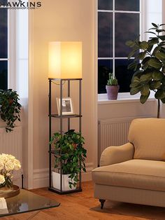 a living room filled with furniture next to a potted plant on a table near a window