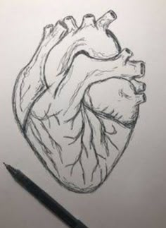 a pencil drawing of a heart on paper with the caption that says, i love you