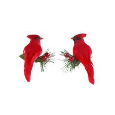 two red birds sitting on top of green branches